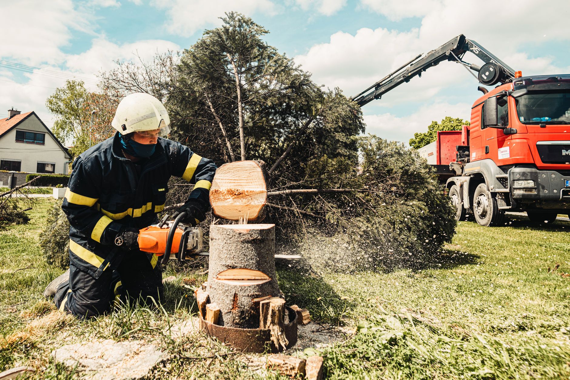 Tree Removal — Arbol Tree Sevice